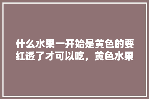 什么水果一开始是黄色的要红透了才可以吃，黄色水果怎么种植的。 家禽养殖