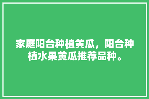 家庭阳台种植黄瓜，阳台种植水果黄瓜推荐品种。 家庭阳台种植黄瓜，阳台种植水果黄瓜推荐品种。 水果种植