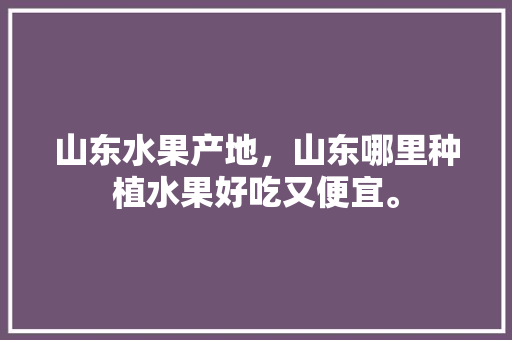 山东水果产地，山东哪里种植水果好吃又便宜。 水果种植