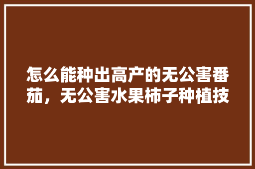 怎么能种出高产的无公害番茄，无公害水果柿子种植技术。 蔬菜种植