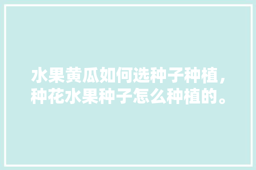 水果黄瓜如何选种子种植，种花水果种子怎么种植的。 土壤施肥