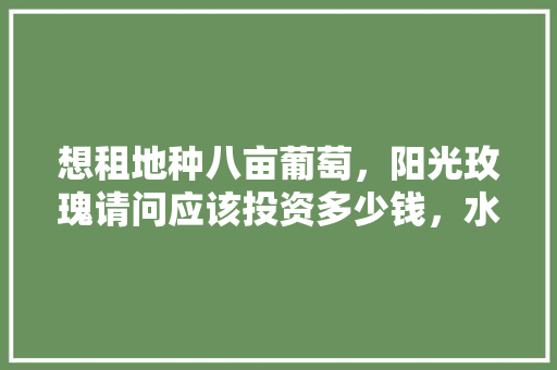 想租地种八亩葡萄，阳光玫瑰请问应该投资多少钱，水果阳光玫瑰种植成本多少。 畜牧养殖