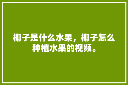 椰子是什么水果，椰子怎么种植水果的视频。 水果种植