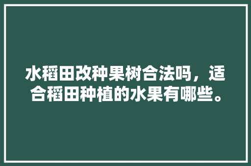 水稻田改种果树合法吗，适合稻田种植的水果有哪些。 畜牧养殖