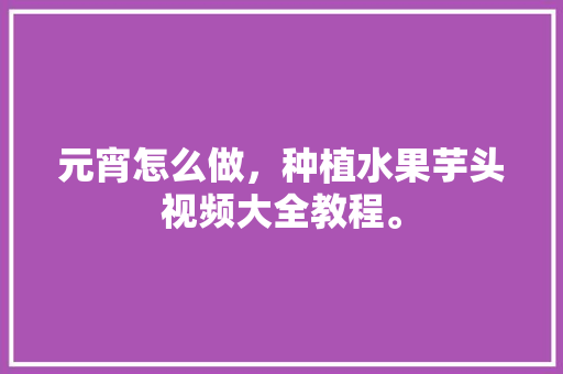 元宵怎么做，种植水果芋头视频大全教程。 元宵怎么做，种植水果芋头视频大全教程。 蔬菜种植