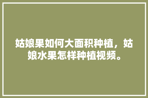 姑娘果如何大面积种植，姑娘水果怎样种植视频。 家禽养殖