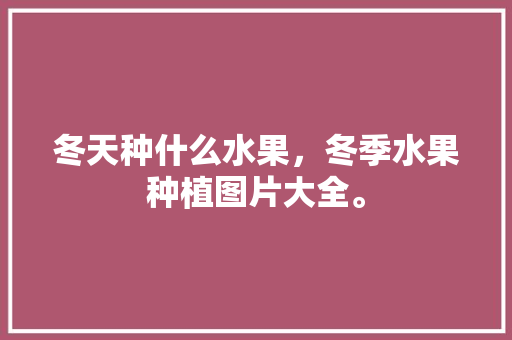 冬天种什么水果，冬季水果种植图片大全。 家禽养殖