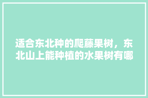 适合东北种的爬藤果树，东北山上能种植的水果树有哪些。 畜牧养殖