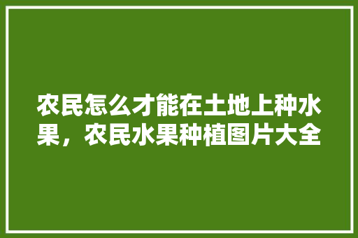 农民怎么才能在土地上种水果，农民水果种植图片大全。 蔬菜种植