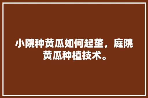 小院种黄瓜如何起垄，庭院黄瓜种植技术。 水果种植