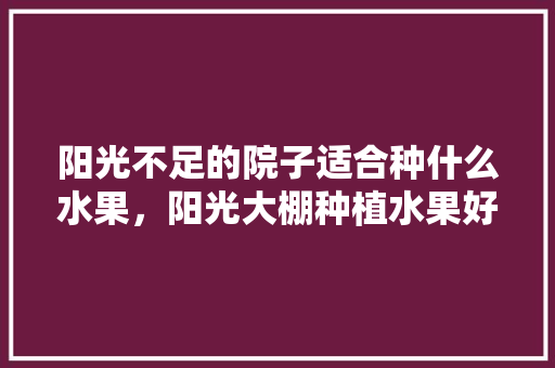 阳光不足的院子适合种什么水果，阳光大棚种植水果好吗。 畜牧养殖