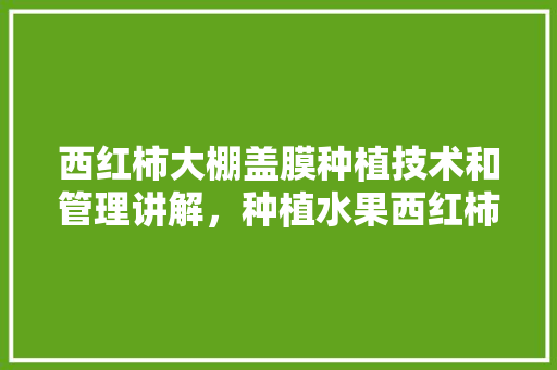 西红柿大棚盖膜种植技术和管理讲解，种植水果西红柿大棚设计。 蔬菜种植