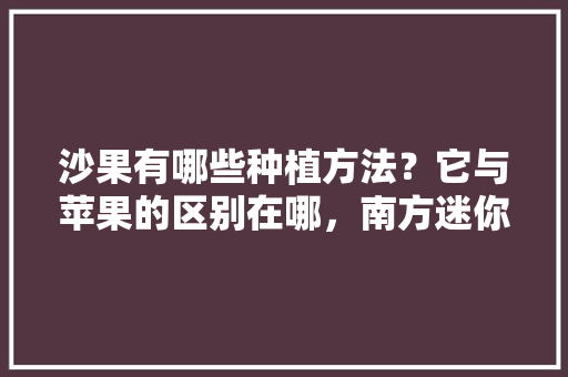 沙果有哪些种植方法？它与苹果的区别在哪，南方迷你苹果水果种植时间。 土壤施肥