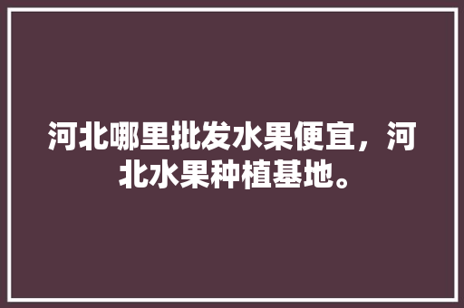 河北哪里批发水果便宜，河北水果种植基地。 家禽养殖