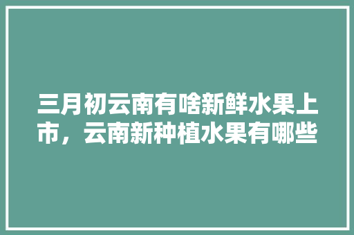 三月初云南有啥新鲜水果上市，云南新种植水果有哪些。 土壤施肥