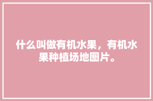 什么叫做有机水果，有机水果种植场地图片。 蔬菜种植