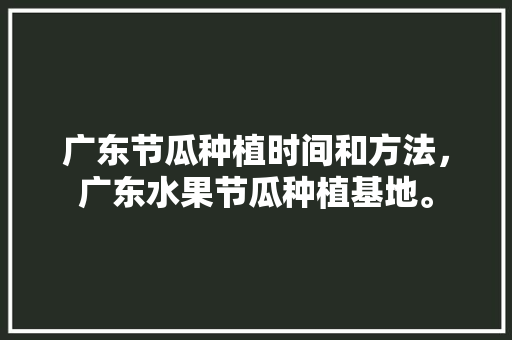 广东节瓜种植时间和方法，广东水果节瓜种植基地。 水果种植