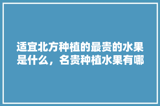 适宜北方种植的最贵的水果是什么，名贵种植水果有哪些。 畜牧养殖