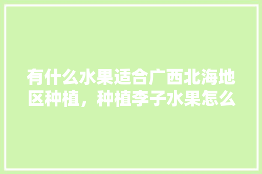 有什么水果适合广西北海地区种植，种植李子水果怎么种植。 水果种植