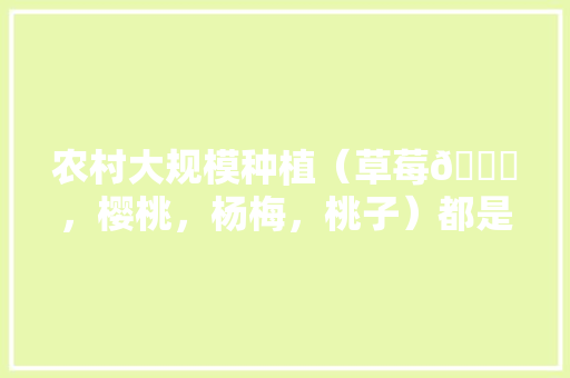 农村大规模种植（草莓🍓，樱桃，杨梅，桃子）都是应季水果，怎么做到深加工快速消费，桃子和水果怎么种植的。 畜牧养殖