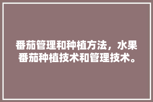 番茄管理和种植方法，水果番茄种植技术和管理技术。 蔬菜种植