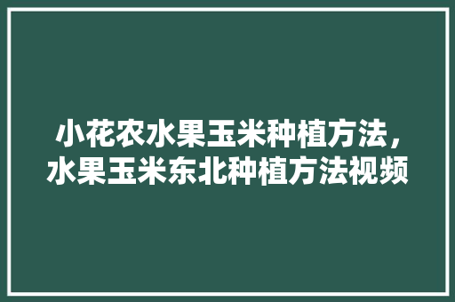 小花农水果玉米种植方法，水果玉米东北种植方法视频。 畜牧养殖