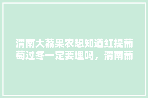 渭南大荔果农想知道红提葡萄过冬一定要埋吗，渭南葡萄水果种植基地在哪里。 畜牧养殖