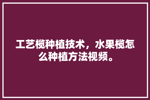 工艺榄种植技术，水果榄怎么种植方法视频。 畜牧养殖