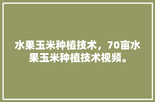 水果玉米种植技术，70亩水果玉米种植技术视频。 蔬菜种植