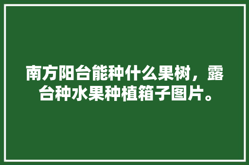 南方阳台能种什么果树，露台种水果种植箱子图片。 蔬菜种植