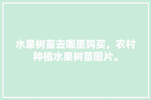 水果树苗去哪里购买，农村种植水果树苗图片。 水果种植