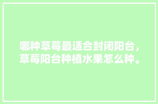 哪种草莓最适合封闭阳台，草莓阳台种植水果怎么种。 家禽养殖