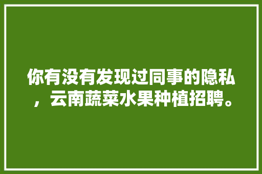 你有没有发现过同事的隐私，云南蔬菜水果种植招聘。 你有没有发现过同事的隐私，云南蔬菜水果种植招聘。 土壤施肥