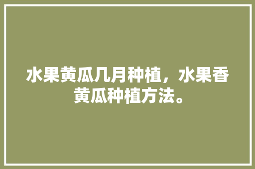 水果黄瓜几月种植，水果香黄瓜种植方法。 水果黄瓜几月种植，水果香黄瓜种植方法。 水果种植