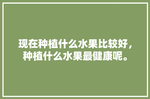 现在种植什么水果比较好，种植什么水果最健康呢。 蔬菜种植