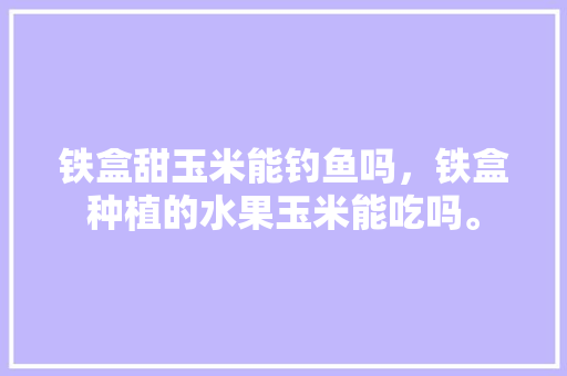 铁盒甜玉米能钓鱼吗，铁盒种植的水果玉米能吃吗。 水果种植