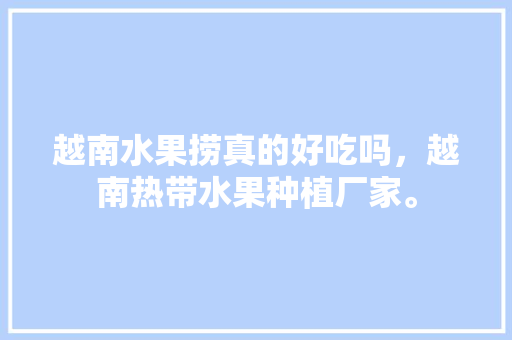 越南水果捞真的好吃吗，越南热带水果种植厂家。 土壤施肥