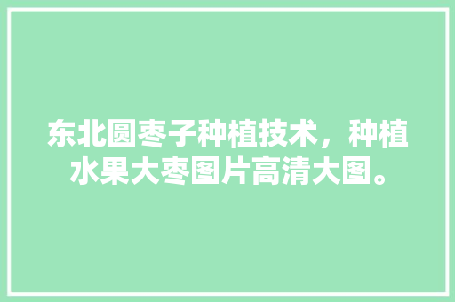 东北圆枣子种植技术，种植水果大枣图片高清大图。 家禽养殖