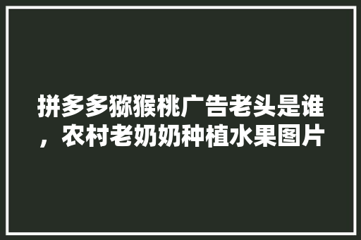 拼多多猕猴桃广告老头是谁，农村老奶奶种植水果图片。 土壤施肥