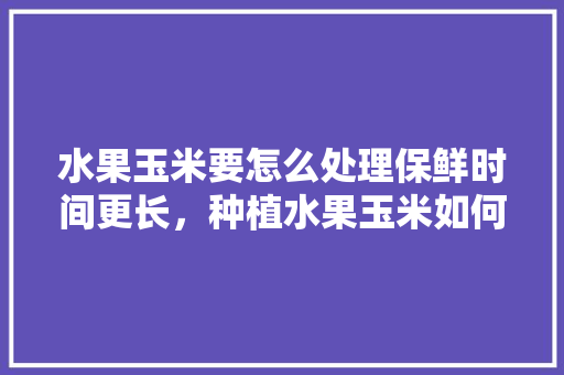 水果玉米要怎么处理保鲜时间更长，种植水果玉米如何打理好。 水果种植