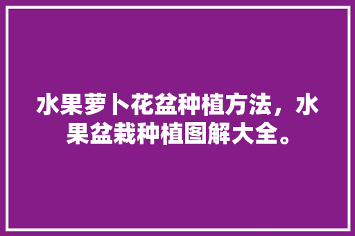 水果萝卜花盆种植方法，水果盆栽种植图解大全。 蔬菜种植