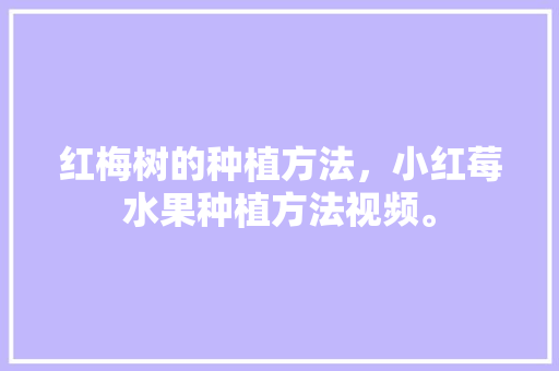 红梅树的种植方法，小红莓水果种植方法视频。 水果种植