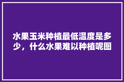 水果玉米种植最低温度是多少，什么水果难以种植呢图片。 水果种植