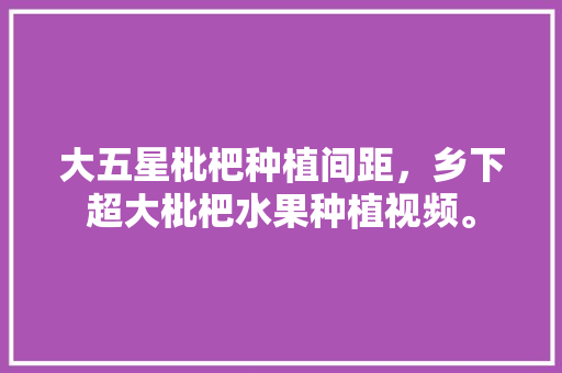 大五星枇杷种植间距，乡下超大枇杷水果种植视频。 水果种植