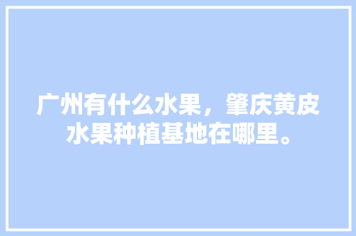 广州有什么水果，肇庆黄皮水果种植基地在哪里。 广州有什么水果，肇庆黄皮水果种植基地在哪里。 畜牧养殖