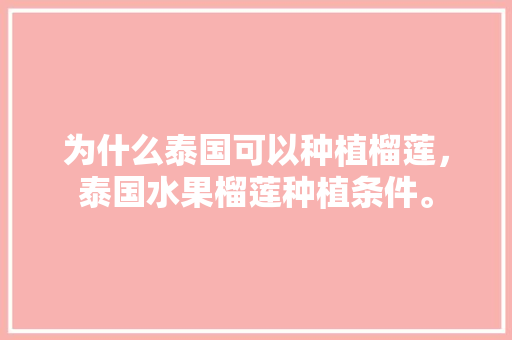 为什么泰国可以种植榴莲，泰国水果榴莲种植条件。 土壤施肥