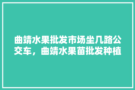 曲靖水果批发市场坐几路公交车，曲靖水果苗批发种植基地。 水果种植