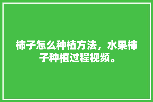 柿子怎么种植方法，水果柿子种植过程视频。 土壤施肥