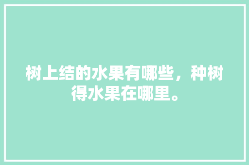 树上结的水果有哪些，种树得水果在哪里。 土壤施肥