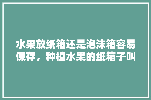 水果放纸箱还是泡沫箱容易保存，种植水果的纸箱子叫什么。 水果放纸箱还是泡沫箱容易保存，种植水果的纸箱子叫什么。 水果种植